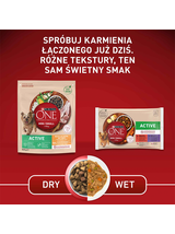 PURINA ONE Mini Active Kurczak, ryż - sucha karma dla psa - 800g /  / Opakowanie uszkodzone (8675) !!!