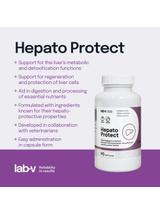 Lab-v Hepato Protect – Wspomaganie funkcji wątroby dla psów i kotów 90 kapsułek