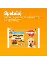 PEDIGREE Junior saszetka 4x100 g - Wybór Smaków z Ryżem w Galaretce, mokra karma pełnoporcjowa dla rosnących psów (kawałki bogate w kurczaka oraz kawałki bogate w mieszankę wołowiny i wątróbki)