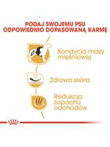ROYAL CANIN French Bulldog Adult 1,5kg karma sucha dla psów dorosłych rasy bulldog francuski