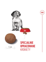 ROYAL CANIN Medium Puppy 4kg karma sucha dla szczeniąt, od 2 do 12 miesiąca, ras średnich