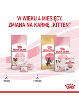 ROYAL CANIN  Mother&Babycat 4kg karma sucha dla kotek w okresie ciąży, laktacji i kociąt od 1 do 4 miesiąca życia + Royal Canin piłka dla kota GRATIS!!