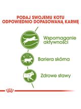 ROYAL CANIN  Outdoor 30 1,5kg karma sucha dla kotów dorosłych, wychodzących na zewnątrz  / Opakowanie uszkodzone (8900) !!!