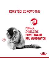 ROYAL CANIN Hairball Care 10kg karma sucha dla kotów dorosłych, eliminacja kul włosowych + niespodzianka dla kota GRATIS!