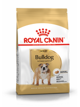 ROYAL CANIN Bulldog Adult 12kg karma sucha dla psów dorosłych rasy bulldog + niespodzianka dla psa GRATIS!