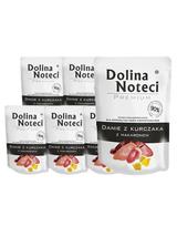 DOLINA NOTECI Danie z kurczaka z makaronem 10x300g-karma mokra dla psa