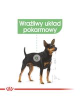 ROYAL CANIN CCN Mini Digestive Care 1kg karma sucha dla psów dorosłych, ras  małych o wrażliwym przewodzie pokarmowym