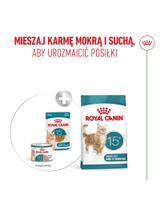 ROYAL CANIN mokra karma dla kota, Senior Ageing 15+, sos 12x85g