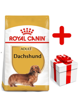 ROYAL CANIN Dachshund 7,5kg karma sucha dla psów dorosłych rasy jamnik + niespodzianka dla psa GRATIS!
