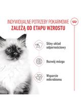 ROYAL CANIN  Kitten 400g karma sucha dla kociąt od 4 do 12 miesiąca życia