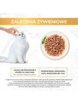 Purina Gourmet Gold z kurczakiem 48x85 g