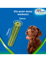 Purina Dentalife Activefresh Large 142g