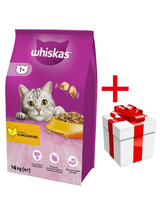 WHISKAS Adult 14 kg - sucha karma dla dorosłego kota, z pysznym kurczakiem + niespodzianka dla kota GRATIS!!!