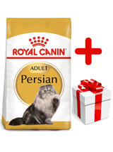 ROYAL CANIN Persian Adult 10kg karma sucha dla kotów dorosłych rasy perskiej + niespodzianka dla kota GRATIS!