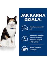 HILL'S PD Prescription Diet Feline y/d 12x156g - puszka