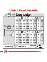 ROYAL CANIN CCN Medium Dermacomfort 11,9kg karma sucha dla psów dorosłych, ras średnich, o wrażliwej skórze, skłonnej do podrażnień / Opakowanie uszkodzone (4686) !!!