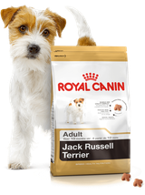 ROYAL CANIN Jack Russell Terrier Adult 7,5kg karma sucha dla psów dorosłych rasy jack russel terrier +  niespodzianka dla psa GRATIS!