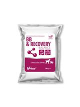 VETFOOD BB & Recovery Balance 100g