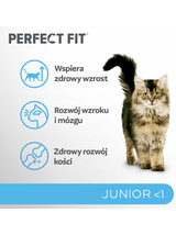 Perfect Fit™ - sucha karma pełnoporcjowa dla kociąt poniżej 1 roku, bogata w kurczaka 7kg