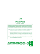 Lilia Pink Pixie różowa 1szt.