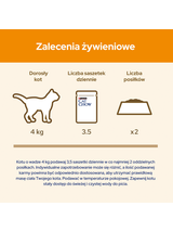 PURINA Cat Chow Adult Karma dla kotów z łososiem i zieloną fasolką w galaretce 10x85g (7+3 GRATIS)