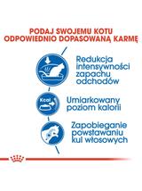 ROYAL CANIN  Indoor 27 10kg karma sucha dla kotów dorosłych, przebywających wyłącznie w domu + niespodzianka dla kota GRATIS!