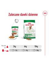 ROYAL CANIN Mini Adult 12x85g karma mokra w sosie dla psów dorosłych, ras małych