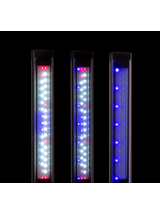 AQUAEL Leddy SlimDuo 16W Sunny Plant&Night czarne