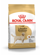 ROYAL CANIN Labrador Retriever Adult 12kg karma sucha dla psów dorosłych rasy labrador retriever + niespodzianka dla psa GRATIS!
