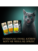 SHEBA saszetka 50x50g Fresh & Fine - mokra karma dla kotów dorosłych w sosie (z kurczakiem, z drobiem, z indykiem)