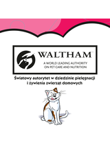 DREAMIES 6x60g - przysmak dla kota z wyśmienitą wołowiną