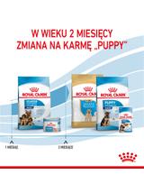 ROYAL CANIN Maxi Starter Mother&Babydog 15kg karma sucha dla suk w ciąży i okresie laktacji oraz szczeniąt, od 4 do 8 tygodnia życia, ras dużych