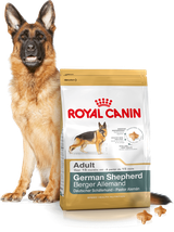 ROYAL CANIN German Shepherd Adult 11kg karma sucha dla psów dorosłych rasy owczarek niemiecki + niespodzianka dla psa GRATIS!