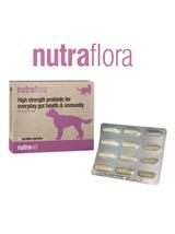 NUTRAVET Nutraflora For Dogs & Cats 12kaps - Probiotyk o wysokiej sile wspomagający codzienne zdrowie jelit i odporności