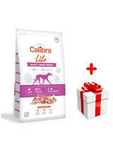 Calibra Dog Life Adult Large Breed Lamb 12kg + Niespodzianka dla psa GRATIS