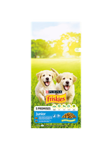 PURINA Friskies Junior 15kg + NIESPODZIANKA DLA PSA GRATIS!!