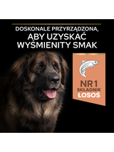 PRO PLAN Sensitive Skin Large Robust Adult Karma dla psów bogata w łososia 14kg