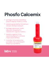 Lab-v Phosfo Calcemix - Mieszanka Paszowa Uzupełniająco-mineralna Dla Krów W Okresie Okołoporodowym Zapobiegająca Niedoborom Wapnia, Magnezu i Fosforu 1kg