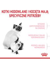 ROYAL CANIN Mother&Babycat karma sucha dla kotek w okresie ciąży, laktacji i kociąt od 1. do 4. miesiąca życia 2 kg + Royal Canin piłka dla kota GRATIS!!