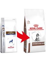 ROYAL CANIN Gastro Intestinal Junior GIJ29 10kg  + niespodzianka dla psa GRATIS