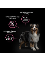PRO PLAN Sensitive Skin Medium Adult Karma dla psów bogata w łososia 14kg