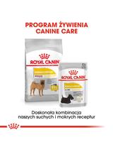 ROYAL CANIN CCN Medium Dermacomfort 12kg karma sucha dla psów dorosłych, ras średnich, o wrażliwej skórze, skłonnej do podrażnień / Opakowanie uszkodzone (4031,4529) !!!