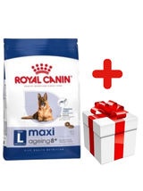 ROYAL CANIN Maxi Ageing 8+ 15kg karma sucha dla psów dojrzałych, po 8 roku życia, ras dużych  + niespodzianka dla psa GRATIS!