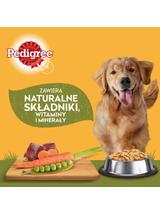 PEDIGREE Adult saszetka 12x100 g - mokra karma pełnoporcjowa, kawałki bogate w mieszankę jagnięciny i wątróbki w galaretce dla dorosłych psów
