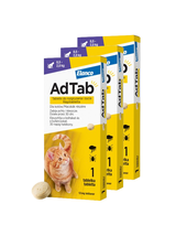 ELANCO 3xAdTab 12mg tabletki na pchły i kleszcze dla kotów 0,5-2 kg