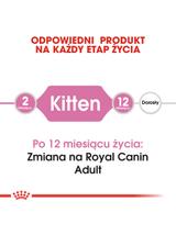 ROYAL CANIN  Kitten 10kg karma sucha dla kociąt od 4 do 12 miesiąca życia  + niespodzianka dla kota GRATIS!