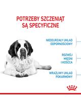ROYAL CANIN Giant Junior 15kg karma sucha dla szczeniąt  od 8 do 18/24 miesiąca życia, ras olbrzymich