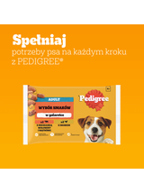 PEDIGREE Adult saszetka 4x100 g - Wybór Smaków w Galaretce, mokra karma pełnoporcjowa w galaretce dla dorosłych psów (kawałki bogate w mieszankę wołowiny i wątróbki oraz kawałki bogate w drób)