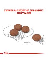 ROYAL CANIN CCN Mini Digestive Care 8kg + niespodzianka dla psa GRATIS!