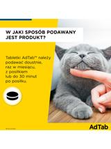ELANCO AdTab 12mg tabletka na pchły i kleszcze dla kotów 0,5-2 kg
